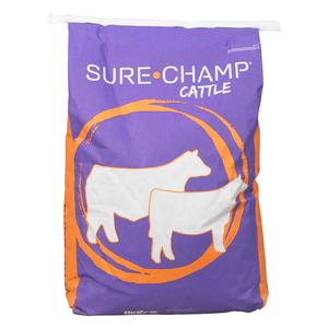 Sure Champ for Cattle  Biozyme
